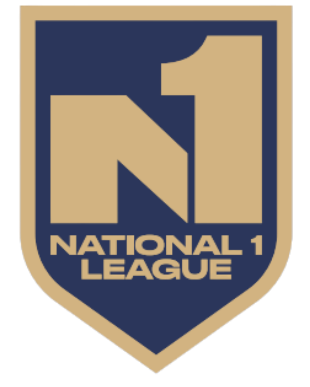N1 logo